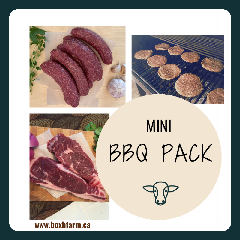 Mini BBQ Pack